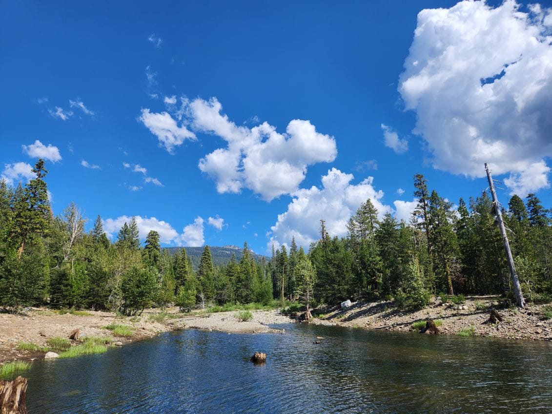 Bowman Lake Northern California clear blue water pine trees Sierra Nevada