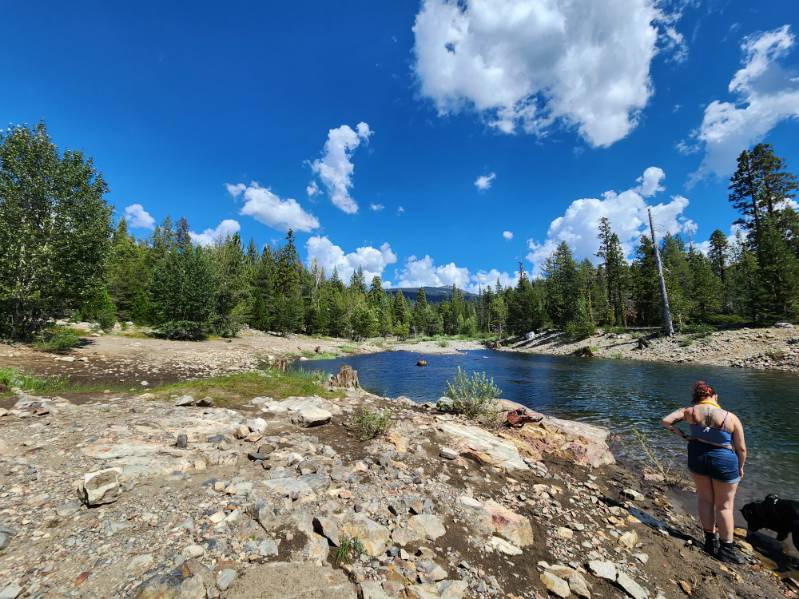 Sierra enjoying the shoreline at Bowman Lake Northern California summer day trip