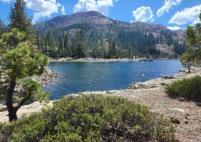 Bowman Lake Tahoe National Forest