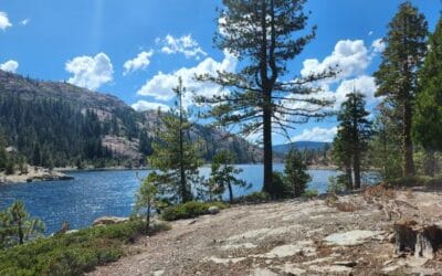 Bowman Lake Northern California: A Local’s Guide to One of the Sierra’s Best Kept Secrets