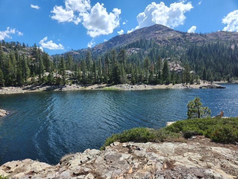 Tahoe National Forest near Bowman Lake Northern California summer pine trees granite