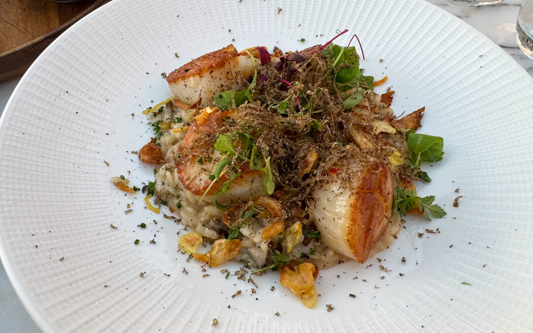 Serẽa Scallops Dish