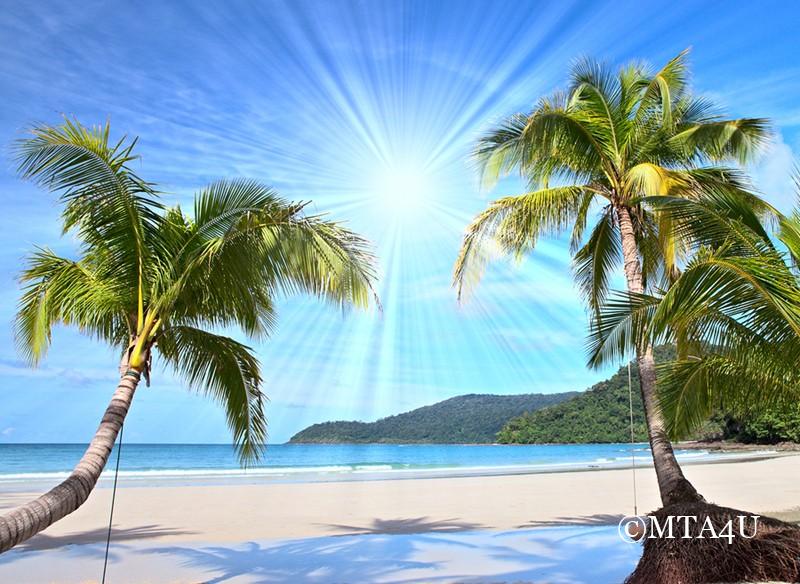 Relaxing beach scene with palm tress and bright blue sky, inviting for a vacation
