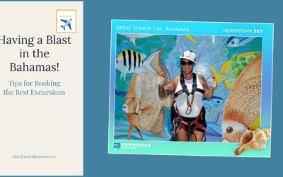 Tips For Booking Excursions