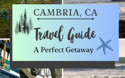 Cambria California Travel Guide: A Perfect Getaway