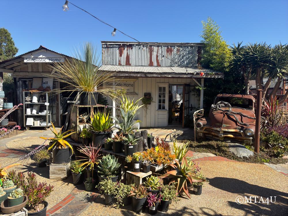 The outdoor display at Simplistic Home in Cambria's East Village, featuring potted plants, succulents, and a rustic vintage truck.