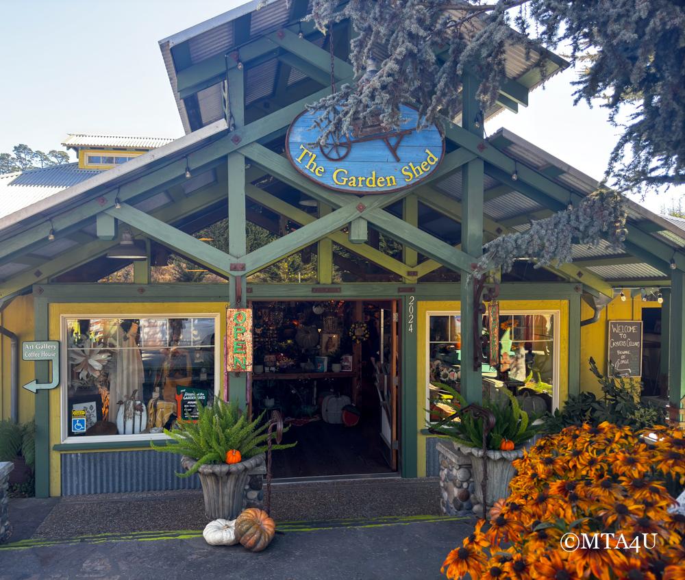 The entrance of The Garden Shed shop in Cambria, California, with colorful flowers and pumpkins decorating the front.