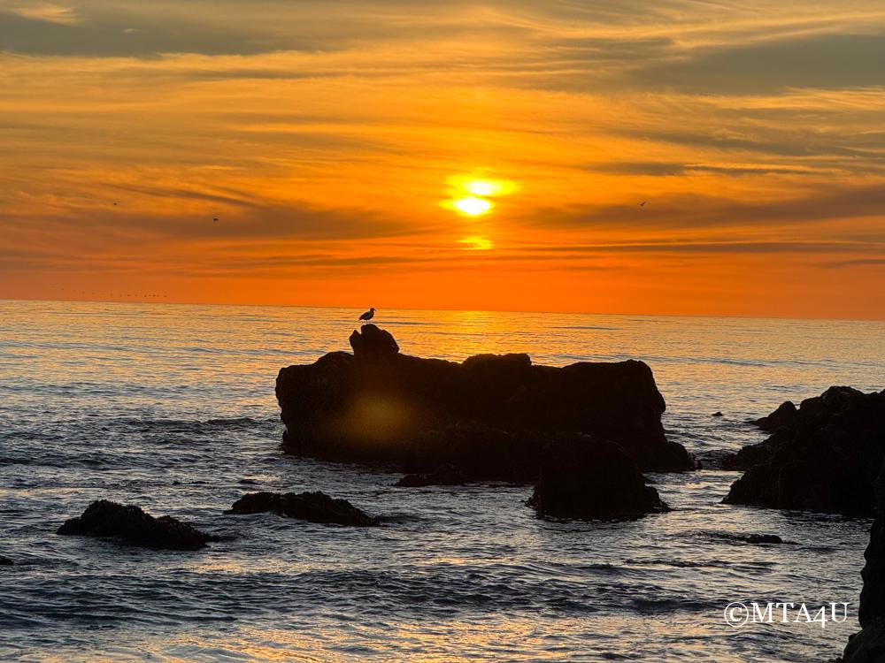 A stunning sunset at Moonstone Beach in Cambria, California, with a bird perched on a rock silhouetted against the vibrant sky.