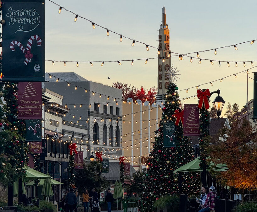 Festive holiday scene in a decorated plaza with CHristmas trees, lights, and ornaments.