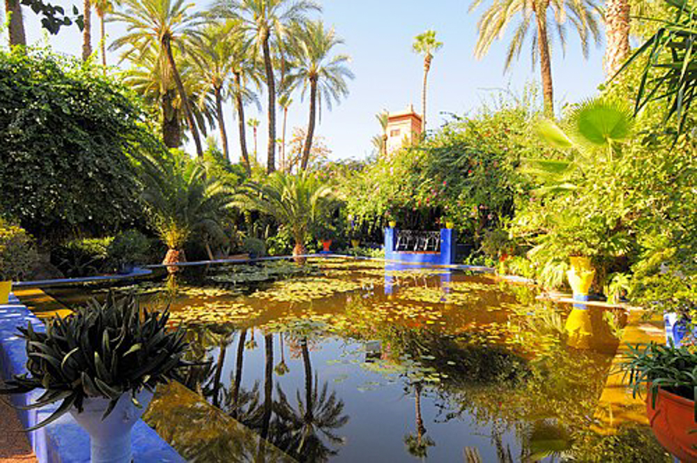 Majorelle Garden in Marrakech, Morocco, featuring lush greenery, a reflecting pond, and vibrant blue architectural elements.