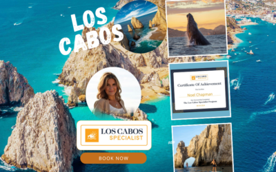The Magic of Los Cabos: A Bucket List Destination Worth Discovering