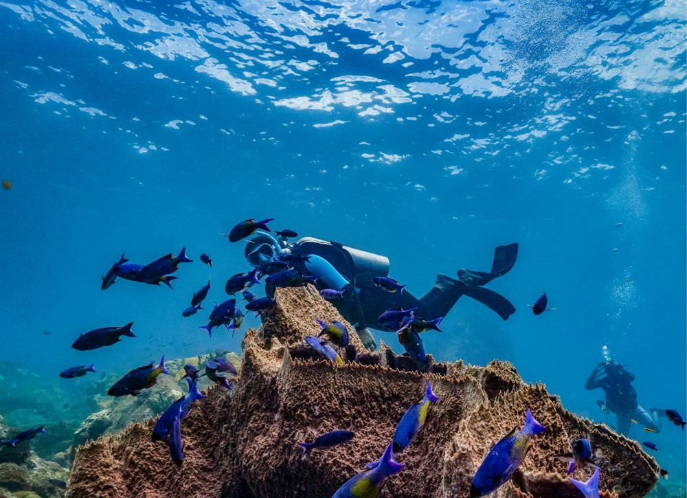 Underwater Adventures at Sandals South Coast Scuba diving in clear blue Caribbean water near Sandals South Coast.