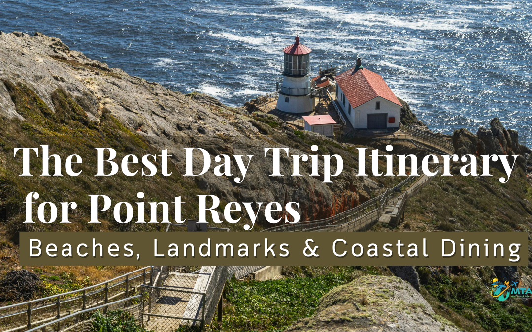 The Best Day Trip Itinerary for Point Reyes