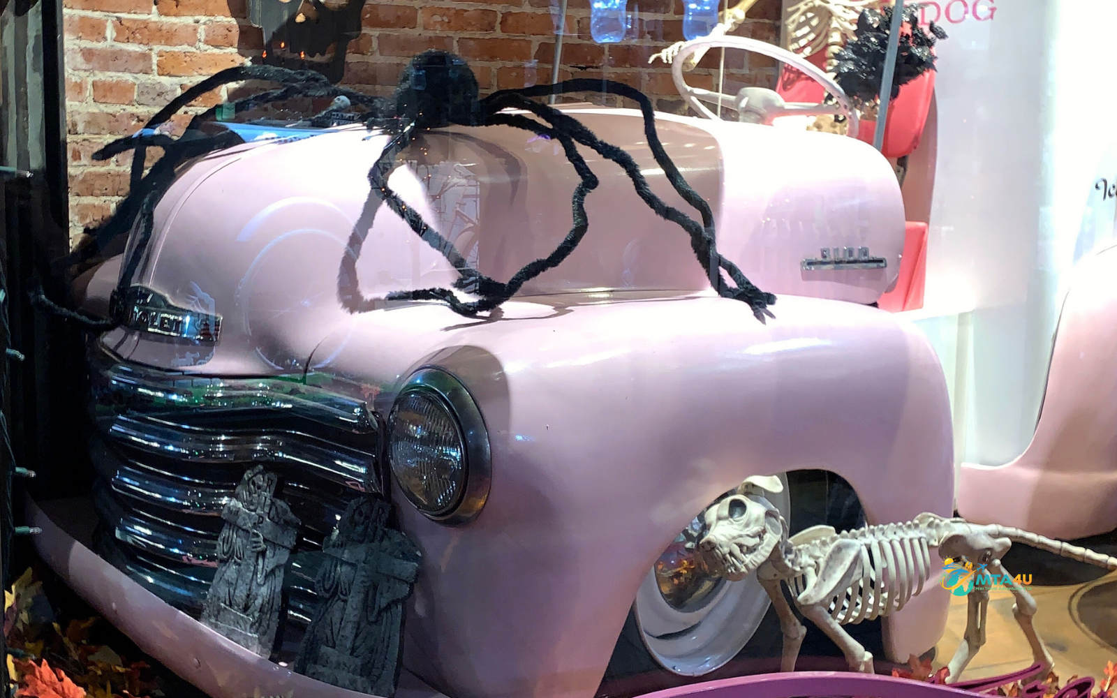 Lazy Dog Chocolateria storefront on Mill Street in downtown Grass Valley, California. 