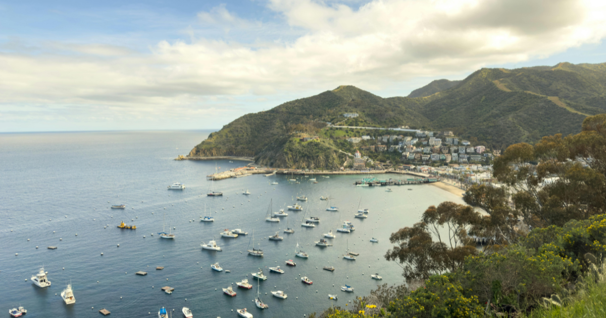 Aerial view of Avalon Harbor on Catalina Island with boats, coastal hills, and ocean scenery in California.