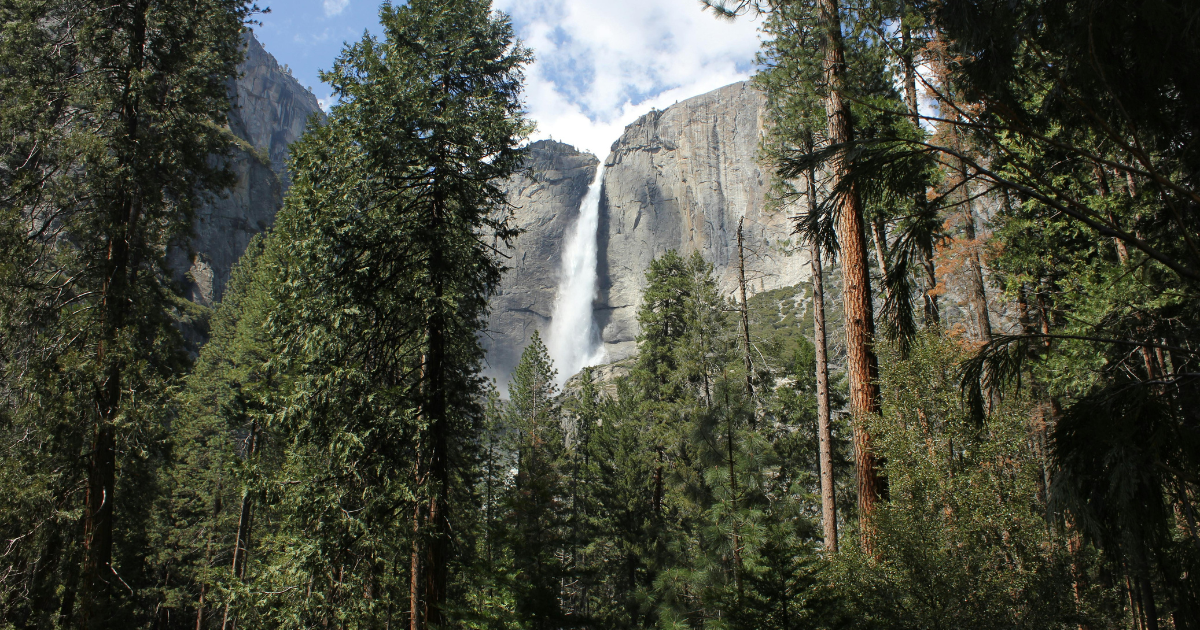 Upper Yosemite Falls cascading down granite cliffs surrounded by tall pine trees in Yosemite National Park, California.