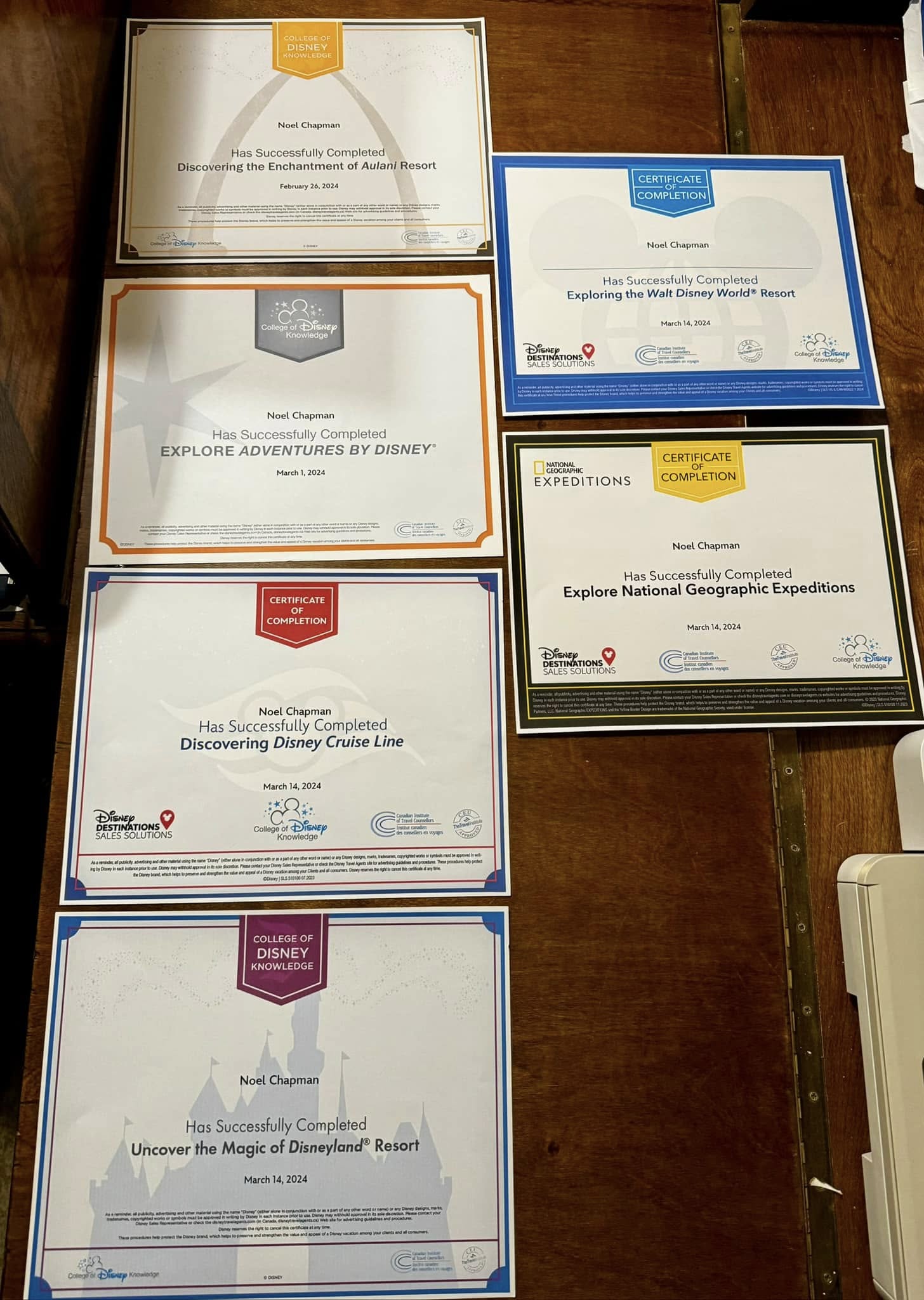 Collection of Disney College of Knowledge and Disney Destinations certificates earned by travel advisor Noel Chapman in 2024, including Disneyland Resort, Walt Disney World Resort, Disney Cruise Line, Adventures by Disney, Aulani Resort, and National Geographic Expeditions.