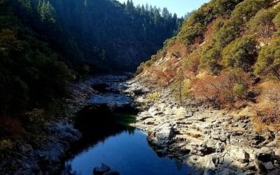 Yuba River Swimming Holes: A Local’s Guide