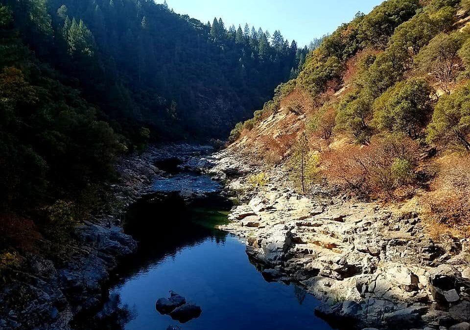 Yuba River Swimming Holes: A Local’s Guide