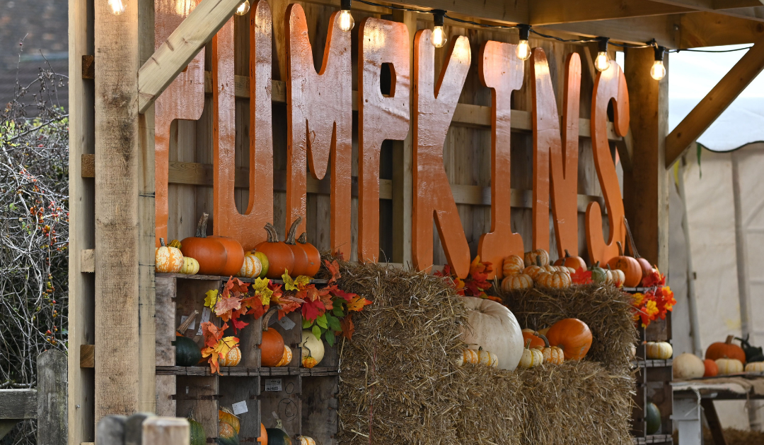 The Best California Halloween Destinations for a Spooky Fall Getaway