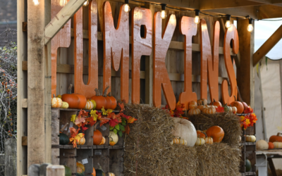 The Best California Halloween Destinations for a Spooky Fall Getaway